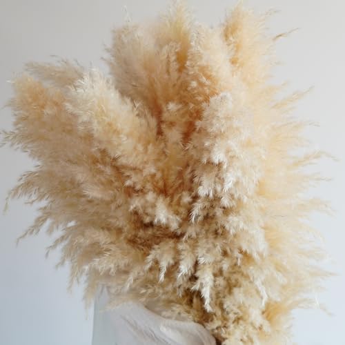 5 piezas pampas grass 50-60 cm decoración boho miniatura 3