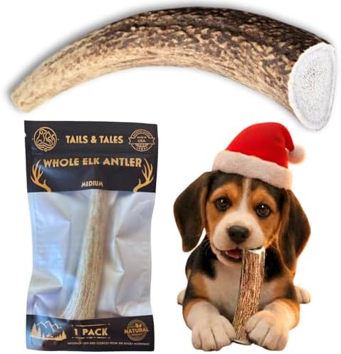 Tails & Tales Whole Elk Antler for Dogs Medium 5-7" Long-Lasting ...