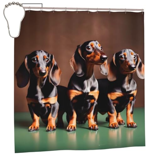 Rideau de douche teckel anti-moisissure en polyester imperméable 183x183cm