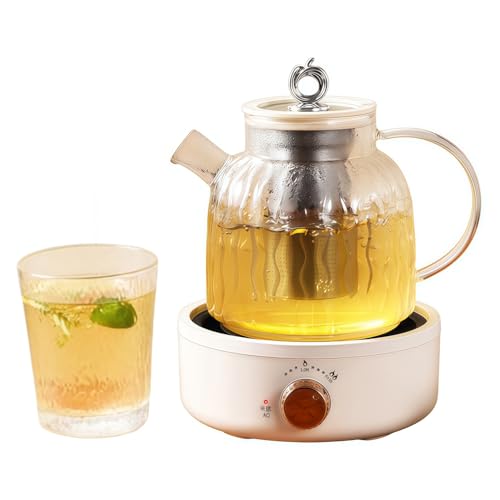 FYDN電気ケトル 耐熱ガラスケトル ?生? 養生ポット 湯沸しポット 1L大容量 2段階の火力調整 ノブコントロール操作が簡単 二重濾過 選択インテリジェント断熱材 家庭、オフィス、お茶作り、お湯を沸かす、煮込み料理、ギフトに最適です (ホワイト,1L)