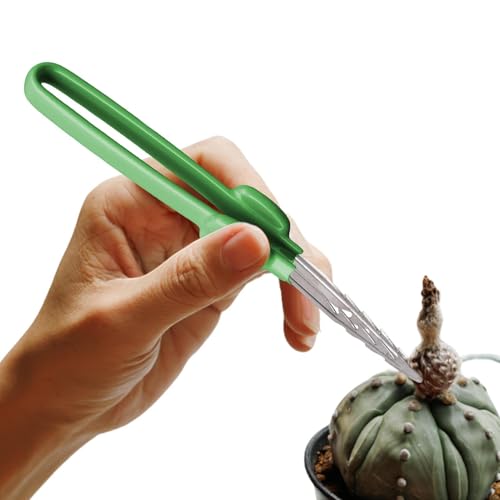 Pinzas de jardinería,Pinzas largas Multiusos para Trabajo Pesado | de jardinería para Semillas largas Grandes para Plantas, suculentas