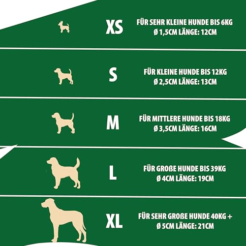 Kaffeeholz Kaustab für Hunde – 100 % natürlich & nachhaltig | Fördert Zahngesundheit & reduziert Zahnstein | Splitterarmes, langlebiges Kauspielzeug für kleine, mittlere & große Hunde (L)