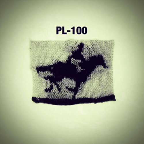 Amazon Music Video Head CleanerのPl100 Amazon.co.jp