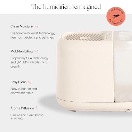 Image of Canopy Large Room Humidifier, Cream, Large Living Space, 36HR Run Time, 5.5L Tank - Includes Canopy Humidifier Plus, Diffusion Well, Unwind Aroma, Filter, Power Cord & Adapter