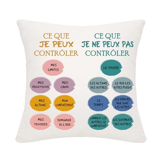 Ce que je peux contrôler Ce que je ne peux pas contrôler Housse de coussin motivationnelle cadeau d'inspiration pour enfants adolescents Adultes Anniversaire Cadeau de Noël(Ce que je peux contrôler)