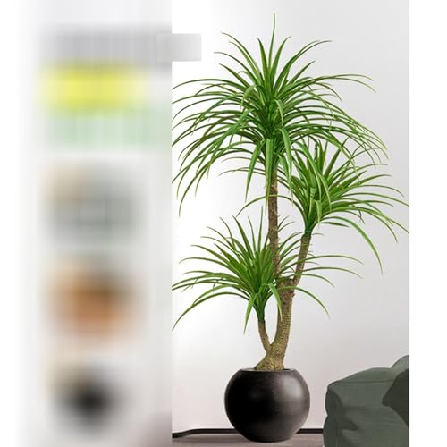 ze hZi rO [ ɒuA  ^  tFCNO[ lH~  fRp ͂Ȃ sv b炸 { _ԂɍœK Mtgɂ