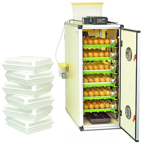 Hatching Time CT180SH