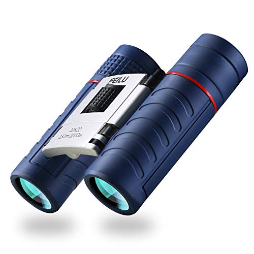 Mini Binoculars for Kidsï¼Best Gifts for Boys ï¼10x22 Real Optics High Resolutionï¼Shockproofï¼HDï¼,Lightweight and Pocket Telescope for Bird Watchingï¼Hiking and Outdoorï¼Birthday Gift for 4-15 Years Old