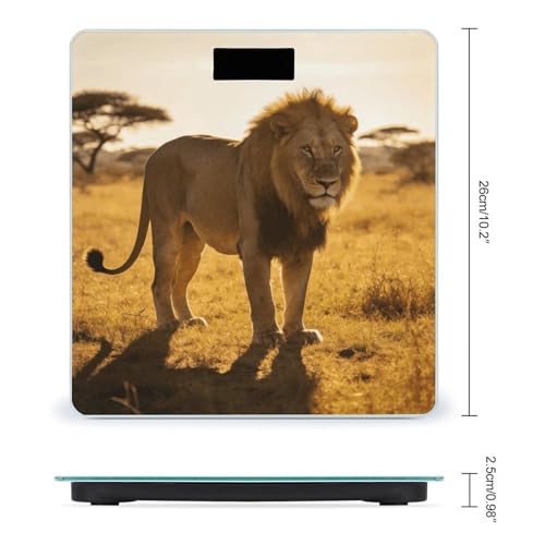 Báscula digital de baño con pantalla LED y vidrio templado miniatura 2