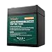 2000 Cycles 12V 6Ah Miady Lithium Iron Phosphate Battery, Rechargeable LiFePo4 Battery, Low Self-Discharge and Light Weight, for Kid Scooters, Fios Replacement Battery