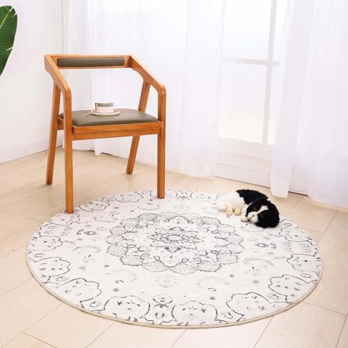 Asrug EhGAO \ {w~A 䶗 T[NO mXbv VbN \tgO tAGA}bg J[ybg Q rO[  ۈ牀 \t@ tAfRp 4tB[g t[