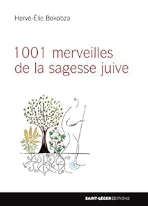 Book's Cover of 1001 merveilles de la sagesse juive