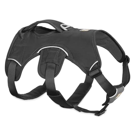 RUFFWEAR, Web Master, Multi-Use Support Dog Harness, Hiking and Trail Running, Service and Working, Everyday Wear, Twilight Gray, Medium