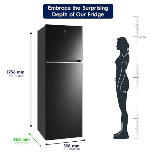 Image of Electrolux 341L 2 Star Inverter Frost Free Double Door Refrigerator, TasteLockAuto & TasteSeal Technology, UltimateTaste 300, ETB3700K-H, Glossy Black Steel