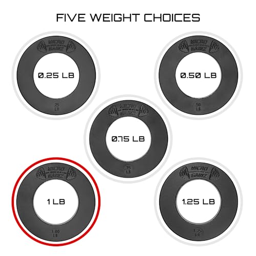 Image of Micro Gainz Calibrated Fractional Weight Plate Set of 2 Plates, Choose Set (.25LB-1.25LB), Designed for Olympic Barbells for Strength Training & Micro Loading Bar Weights, Made in USA