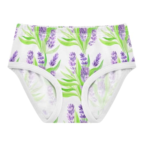 Joisal Colorful Toddler Girls Underwear 2t Cotton Cute Panties Girl Lavender Purple Flowers White Kids Undies Briefs