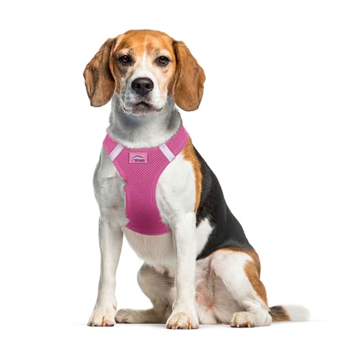 Doggie Design Dog Harness - No Choke Dog Harness, Dog Vest, Mesh Polyester, Pet Harness, Simple Step in and Go Design, Harness for Dog - Candy Pink, XL