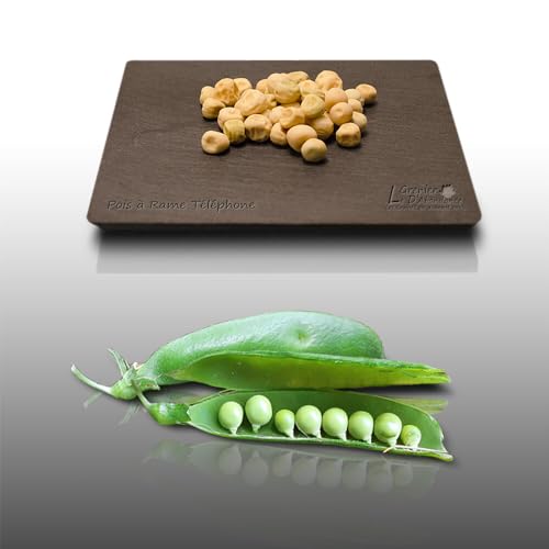 75 grammes de graines à semer - Le Grenier d'Abondance - POIS à rames Téléphone - Pisum sativum