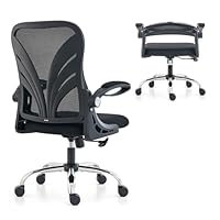 HOLLUDLE Ergonomic Office Chair with Foldable Backrest, Computer Desk Chair with Flip-up Armrests, Mesh Lumbar Support and Tilt Function Big and Tall Office Chair, Black