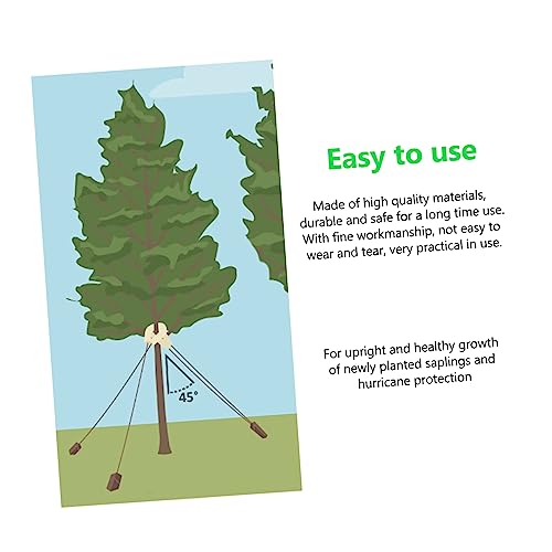 Ancres de fixation d'arbre contre le déracinement et le vent - 8
