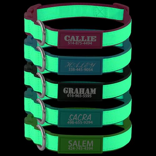 Personalized Dog Collars for Small & Large Dogs with Custom Name ...