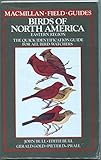 Birds of North America/Eastern Region: A Quick Identification Guide to Common Birds
