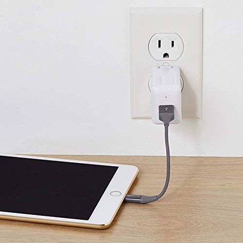 Image of AmazonBasics Apple Certified Lightning to USB Charge and Sync Tough Cable, 0.33 Feet (10 Centimeters) - 2-Pack - Gray (Ideal for Power Banks)