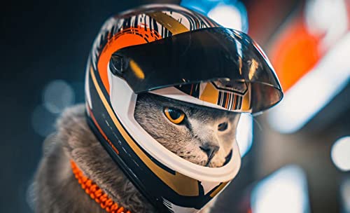 Haustier-Motorradhelm, Vollgesichts-Motorradhelm, Outdoor, Motorrad, Fahrrad, Reithelm, Hut für Katze, Hund, Hunde, Welpen, Kätzchen, Helm, Haustierbedarf, Sammlerstück, kleines Geschenk (Mehrfarbig)