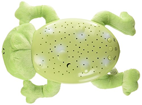 Preisvergleich Produktbild Summer Infant Slumber Buddy Freddie Frosch