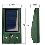 GARDIGO® Solar Tierabwehr Basic I Vertreibt Hunde, Katzen, Mäuse, Ratten und Wildtiere I Tiervertreiber mit weißem und rotem LED Blitzlicht