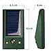 GARDIGO® Solar Tierabwehr Basic I Vertreibt Hunde, Katzen, Mäuse, Ratten und Wildtiere I Tiervertreiber mit weißem und rotem LED Blitzlicht