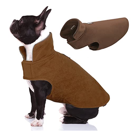 Revamp Your Pup's Winter Wardrobe with These Incredible Polartec Dog