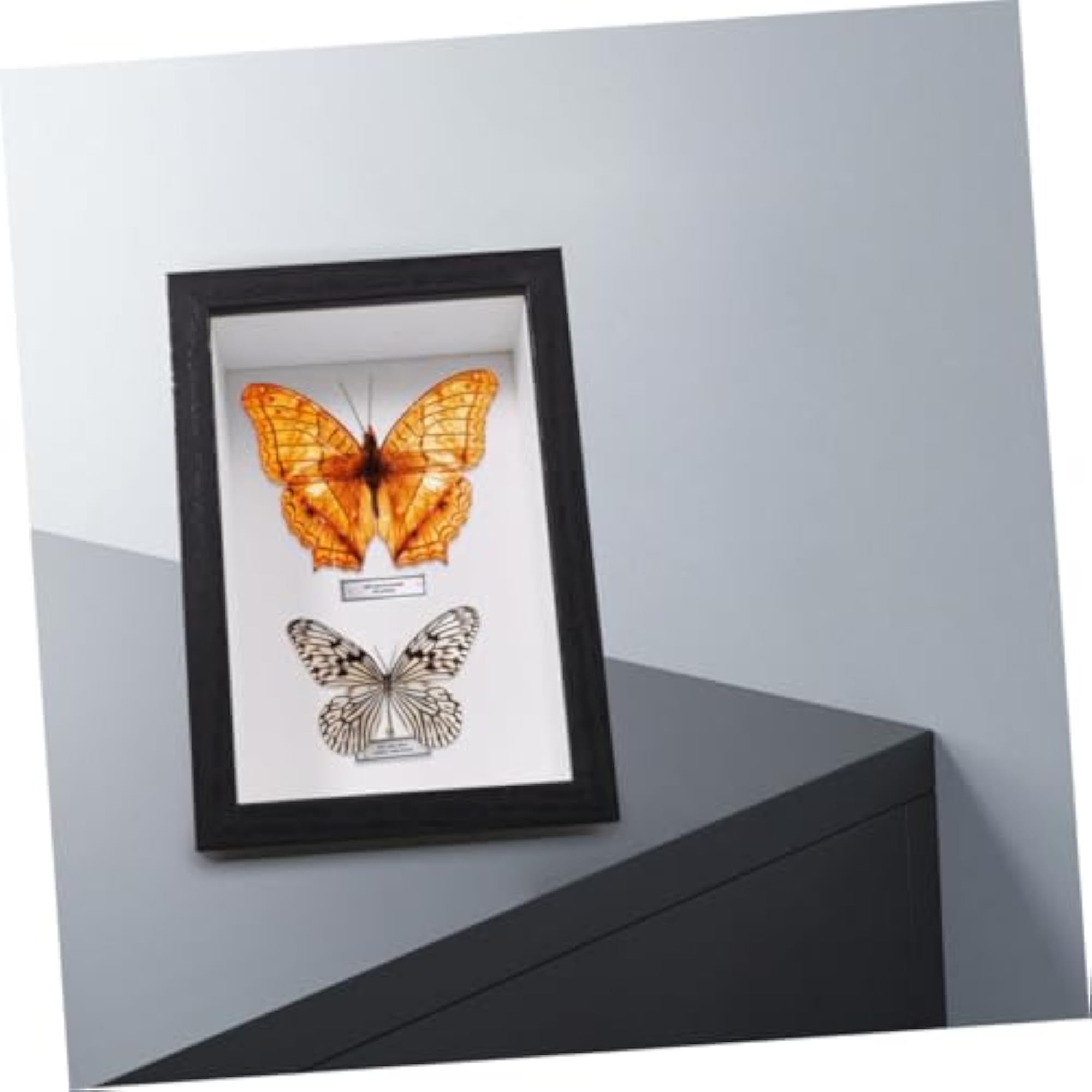 2pcs Rustic Wood Deep Box Display Cases for Pressed Flowers
