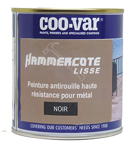 Coo-Var Peinture métal antirouille lisse - extérieur et intérieur - Noir 500ml