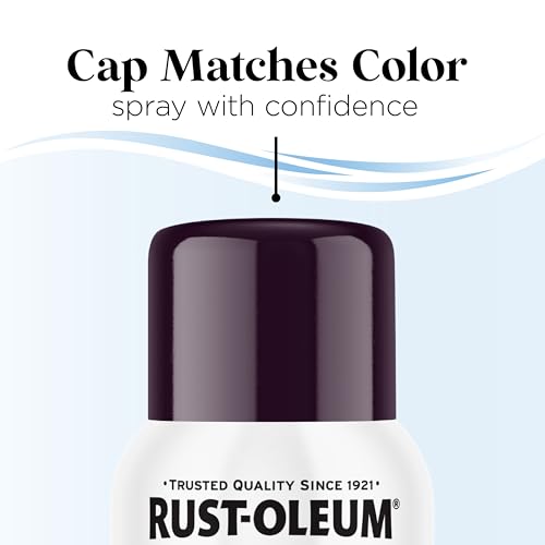 Image of Rust-Oleum Low Odor Premium Spray Paint, 11 oz, Gloss Eggplant
