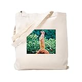 Einkaufstasche machen diese Ihre neue Lieblings-Lebensmittel-Bag, Bibliothek tote, oder am Strand Shopper. Diese Taschen sind auch tolles Geschenk für Sie oder Ihn, jung oder alt, für jeden Anlass.