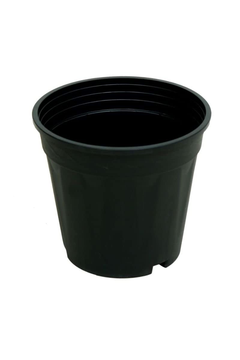 See full amazon price history chart for Tillage- 6inch Black Nursery Garden Plastic Pot/Grower Pot for Terrace Gardening and Outdoor. (15) Tillage- 6inch Black Nursery Garden Plastic Pot/Grower Pot for Terrace Gardening and Outdoor. (15) (B0B137JSL1) Amazon Price History, Amazon Price Tracker