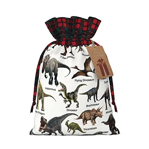 専用☆ラスト✳︎母made品✳︎恐竜柄 巾着 ブラウン コップ袋などに