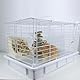 PeSandy Haustierkäfig-Einlage, Käfig Urin Schutz, 12 STÜCKE Schutz Käfig Streu für Kleintiere Kaninchen Meerschweinchen Hamster Chinchilla Igel Frettchen Ratten (Transparent, 30 x 15CM)