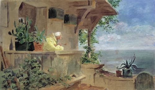 Lienzo cuadro pintura murales decor el mirador de Carl Spitzweg 60x90
