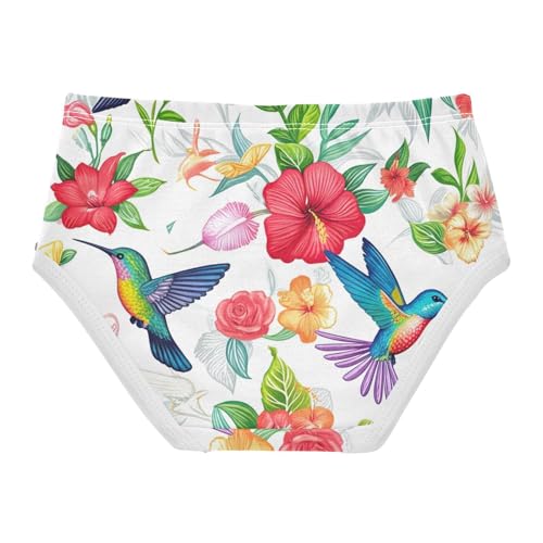 Toddler Underwear Custom 2t Cotton Panties Little Girl Cartoon Briefs Kids Undies Colorful Hummingbirds Floral2