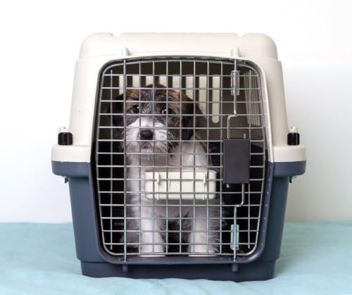 Image of 24 Inch Heavy Duty Dog Travel Carrier Flight Crate, IATA Compliant Airline Approved Pet Kennel Cage with Wheels for Dogs,Cats & Puppies,Removable Tray, White & Grey (24 inch L x 16 inch W x 16 inch H)