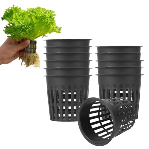 12/24 vasi a rete per coltura idroponica – 11 cm vasi in plastica nera per piante | design di drenaggio ottimale per coltura idroponica/serra (12 pezzi)