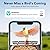 PeckCam® Bird Feeder with Camera Solar Powered, AI Identify & Auto Capture, 2K HD Live Video Smart Bird Feeder Camera Instant Notifications in Backyard, Gift for Bird Lovers