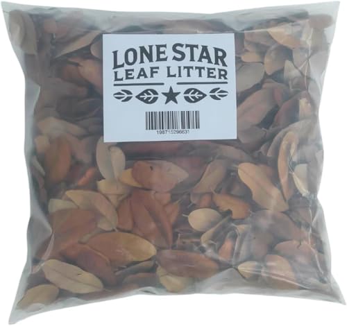 Lone Star Leaf Litter Texas Live Oak Leaf Litter for Reptiles, Bioactive Substrate, Leaf Litter for Isopods, Natural Habitat Enrichment, Terrariums and Vivariums, (1 Gallon)