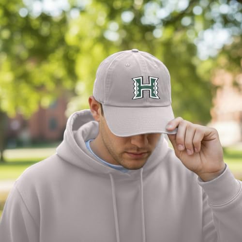 Desert Cactus University of Hawaii Baseball Hat miniatura 5