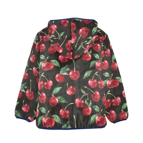 CHIFIGNO Cartoon Animals Sweatshirt Jacket with Hood Toddler Boy Hoodies for Fall Winter Kids Zip up Jacket 3-10Y2