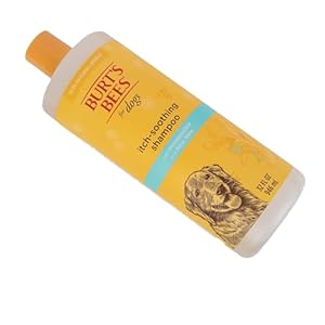 Burts-Bees-for-Pets-Naturally-Derived-Itch-Soothing-Shampoo-with-Honeysuckle-Anti-Itch-Dog-Shampoo-for-All-Dogs-with-Dry-Itchy-and-Sensitive-Skin-32-Oz-2-Pack - Cucciolini Doodles Burts-Bees-for-Pets-Naturally-Derived-Itch-Soothing-Shampoo-with-Honeysuckle-Anti-Itch-Dog-Shampoo-for-All-Dogs-with-Dry-Itchy-and-Sensitive-Skin-32-Oz-2-Pack