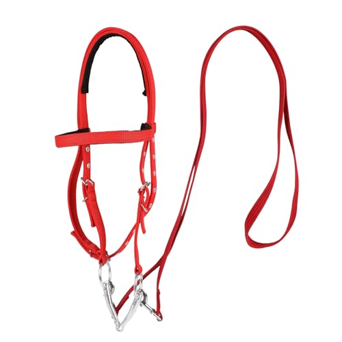 NIUTRIP Adjustable Horse Bridle with Stainless Steel Bit - Equestrian Bridles and Horse Headstall (Red, S)