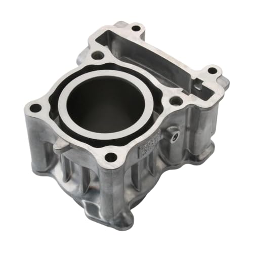 Evita humo azul en tu Smax con este bloque de cilindro XC 155 nuevo